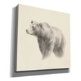 thumbnail image 2 of Epic Graffiti 'Western Bear Study' by Ethan Harper, Canvas Wall Art, 12"x12", 2 of 3