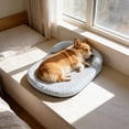 thumbnail image 6 of Bomd Orthopedic Dog Beds Large Sized Dog, Washable Waterproof Oval Large Dog Bed with Removable Cover, Pet Bed with Bolster & Non-Skid Bottom, Blue, 17.7''x13.8'', 6 of 6