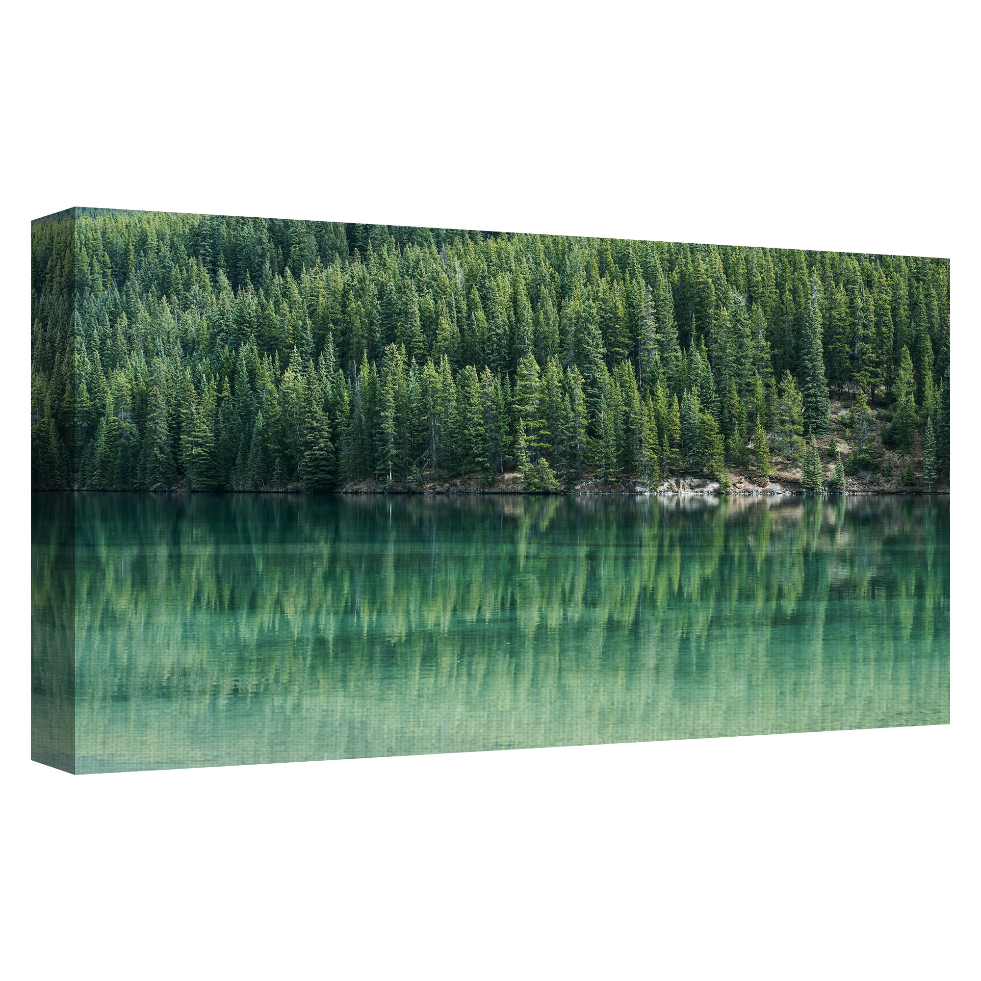Masterpiece Art Gallery Reflected Evergreen Forest by TJ Holowaychuk Canvas Art 17" x 34"