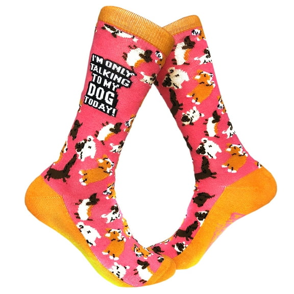 Womens Im Only Talking to My Dog Today Socks Funny Pet Mom Novelty Footwear