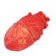 thumbnail image 1 of Halloween Horror Fake Bloody Human Heart Props Accesorios de fiesta Día de los inocentes Suministros de decoración de juguetes LingWen 8390611032227, 1 of 1