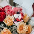 thumbnail image 4 of Shisuyan Pocket Bear Mini Graduation Bear Plush Cloth Cute Design 1Set, 4 of 8