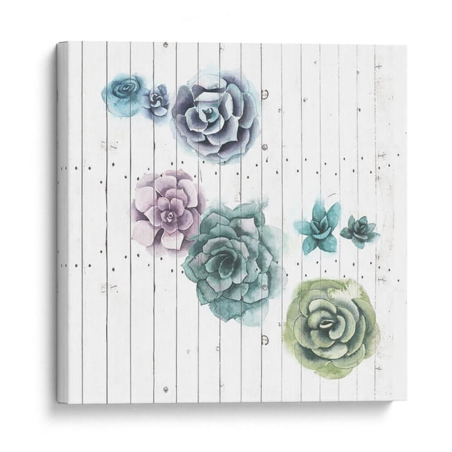Cuadro decorativo - Shiplap Suculent Cluster Iv, Grace Popp 50x50 Canvas Lab Botánica, Floral, Naturaleza