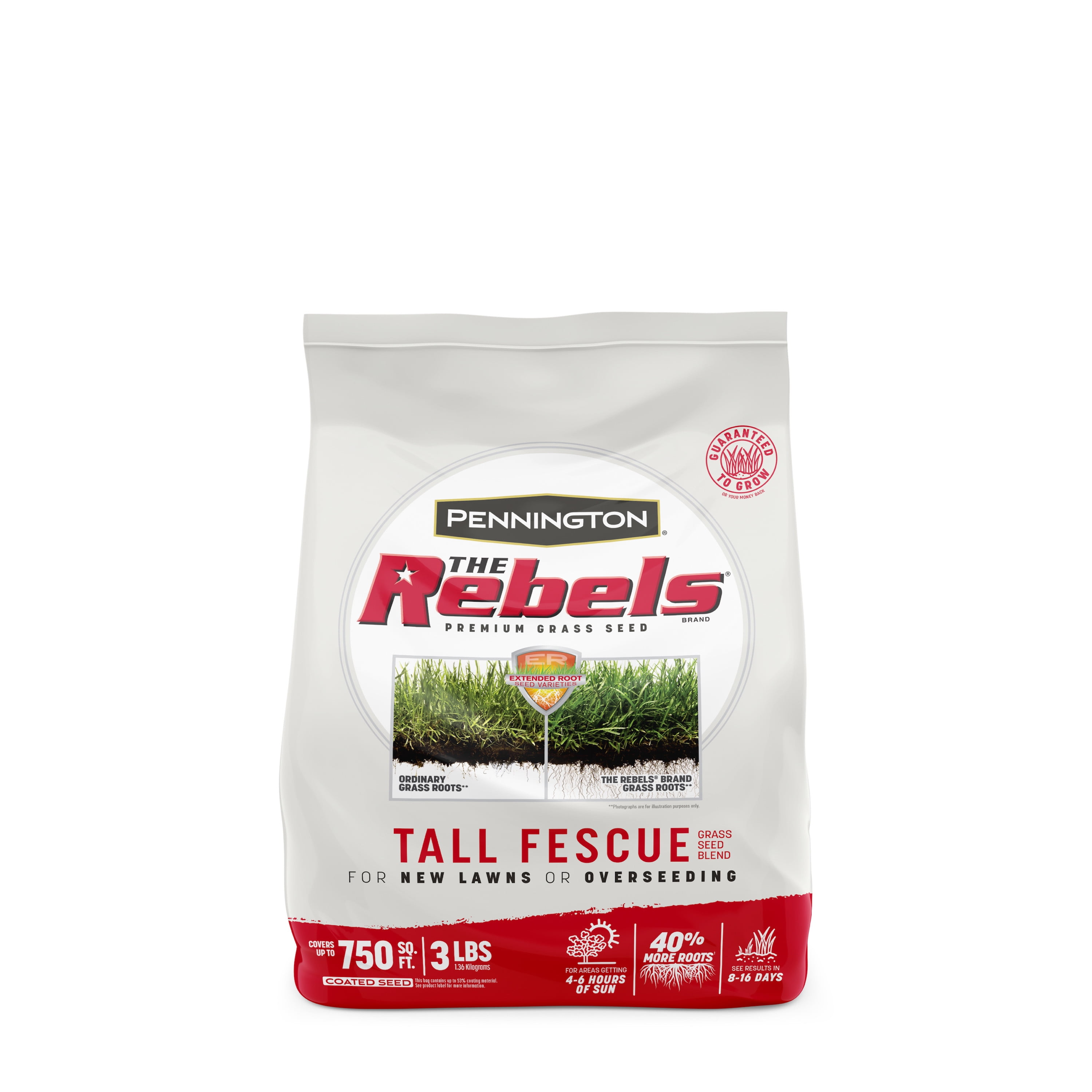 Pennington Rebels Tall Fescue Grass Seed, for Sun to Partial Shade, 3 lb.