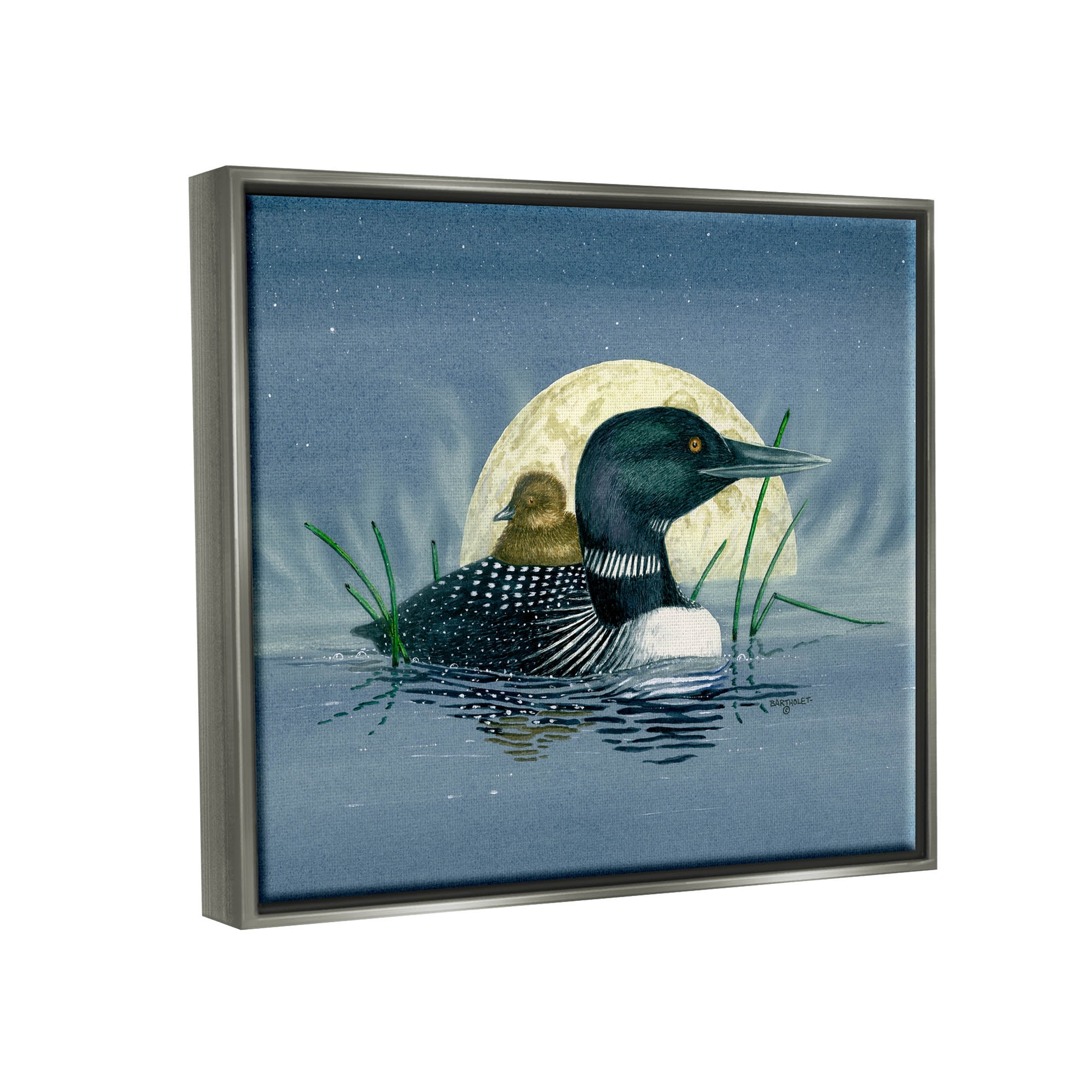 Mallard Duck Moonlit Pond Animals & Insects Graphic Art Luster Gray Framed Art Print Wall Art