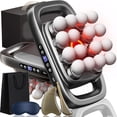thumbnail image 1 of 2026 New Alurea Massager, Deep Tissue Massager, 16 Head Massage Gun Deep Tissue, 30 Levels & 3 Modes, Electric 8/16 Head Massagers for Neck, Shoulder (Black, 16 Head), 1 of 6