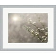 thumbnail image 1 of Great Art Now Floral Dreams by Lori Deiter, Framed Wall Art, 22.25W x 18.25H, 1 of 2
