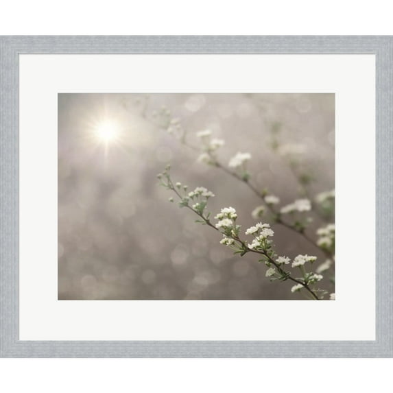 Great Art Now Floral Dreams by Lori Deiter, Framed Wall Art, 22.25W x 18.25H