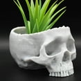 thumbnail image 2 of Clever Contraptions Real-Looking Skull Succulent Planter – Macabre Elegance (Medium), 2 of 9