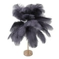 thumbnail image 1 of Ostrich Feather Table Lamp, 30PCS Feathers 3 Color Dimming Cordless USB Rechargeable Touch Control Desk Night Light, Modern Decorative Bedside Lamp Bulb Included for Bedroom Living, 1 of 8