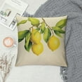 thumbnail image 2 of HENGT &nbsp;Fruit Pillow Covers Fresh Lemon with Green Leaf Decorative Pillow Cover Square &nbsp;Pillowcase Decor Indoor Outdoor Home Couch, 2 of 5