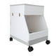 thumbnail image 1 of Carrito de Servicios Públicos, Carrito de Almacenamiento Móvil de Doble Capa, UNA Capacidad de Carga Fuerte de Carga Multifuncional Con 4 Ruedas para Sala de Estar, 1 of 7