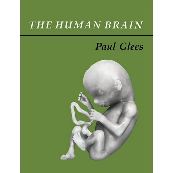 The Human Brain, (Paperback)