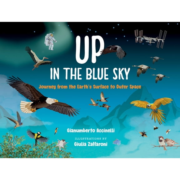 Orca Up and Down Up in the Blue Sky: Journey from the Earth's Surface to Outer Space, (Hardcover)