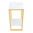 thumbnail image 1 of Flower Stand, Practical Minimalist Design 2 Tiers Flower Stand 60cm Iron Frame Multifunctional Easy Assembly Flower Pot Shelf for Balcony Garden Entryway, 1 of 7