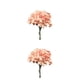 thumbnail image 3 of Cateissary Hortensia artificial seda falso jardín simulación planta Fondo pared flores para fiesta boda cocina champán champán 2Conjunto, 3 of 6
