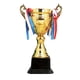 thumbnail image 2 of Premio Trofeo Premios Trofeo Copa Premio Regalos de agradecimiento para evento Competencia 34cm, 2 of 9