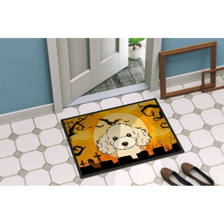 Color G Welcome Mat Indoor Outdoor, 24x36 Door Mat Outdoor