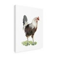 thumbnail image 2 of Trademark Fine Art 'Chicken Dance I' Canvas Art by Jennifer Paxton Parker, 2 of 3
