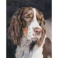 thumbnail image 3 of Fagan, Edie 15x18 Black Modern Framed Museum Art Print Titled - Lizzie Springer Spaniel, 3 of 5