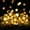 Warm White, variant on Solar Flower String Lights,23ft 50 LED Cherry Blossoms Solar Fairy Light, Outdoor Waterproof String Lights for Christmas Tree, Home, Garden, Wedding, Patio, Party Decorations (colorful)
