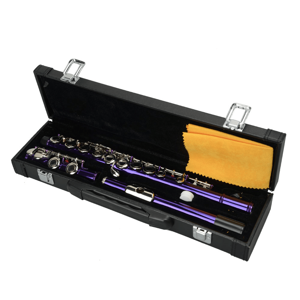 Tcbosik C Flute Closed Hole 16 Keys for Beginners with Case, Cloth, Screwdriver, Lubricant and Cleaning Rod, Purple