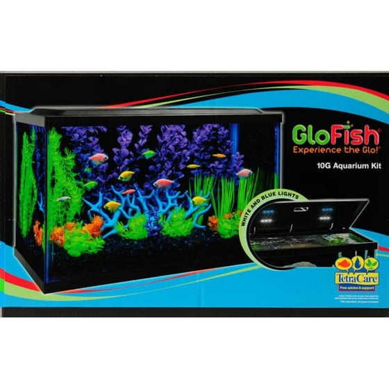 glofish 10 gallon aquarium