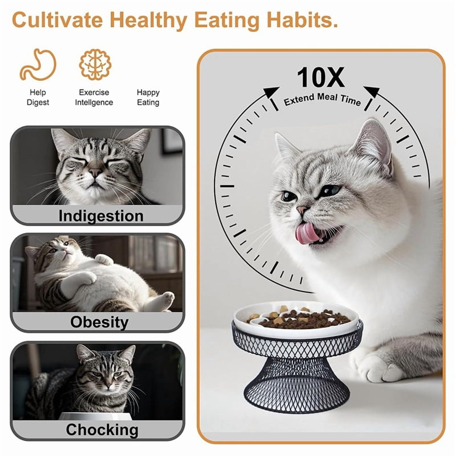 Osfvolr Raised Ceramic Cat Slow Feeder Bowl, Elevated Cat Plate with Stand, Slow Bowl for Wet and Dry Food, Friendly Pet