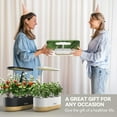 thumbnail image 6 of 12 Pods Hydroponics Growing System, Indoor Herb Garden with LEDs Full-Spectrum Plant Grow Light, Water Shortage Alarm, Automatic Timer, Height Adjustable, Ideal Gardening Gifts for Women,  Black Wood, 6 of 7