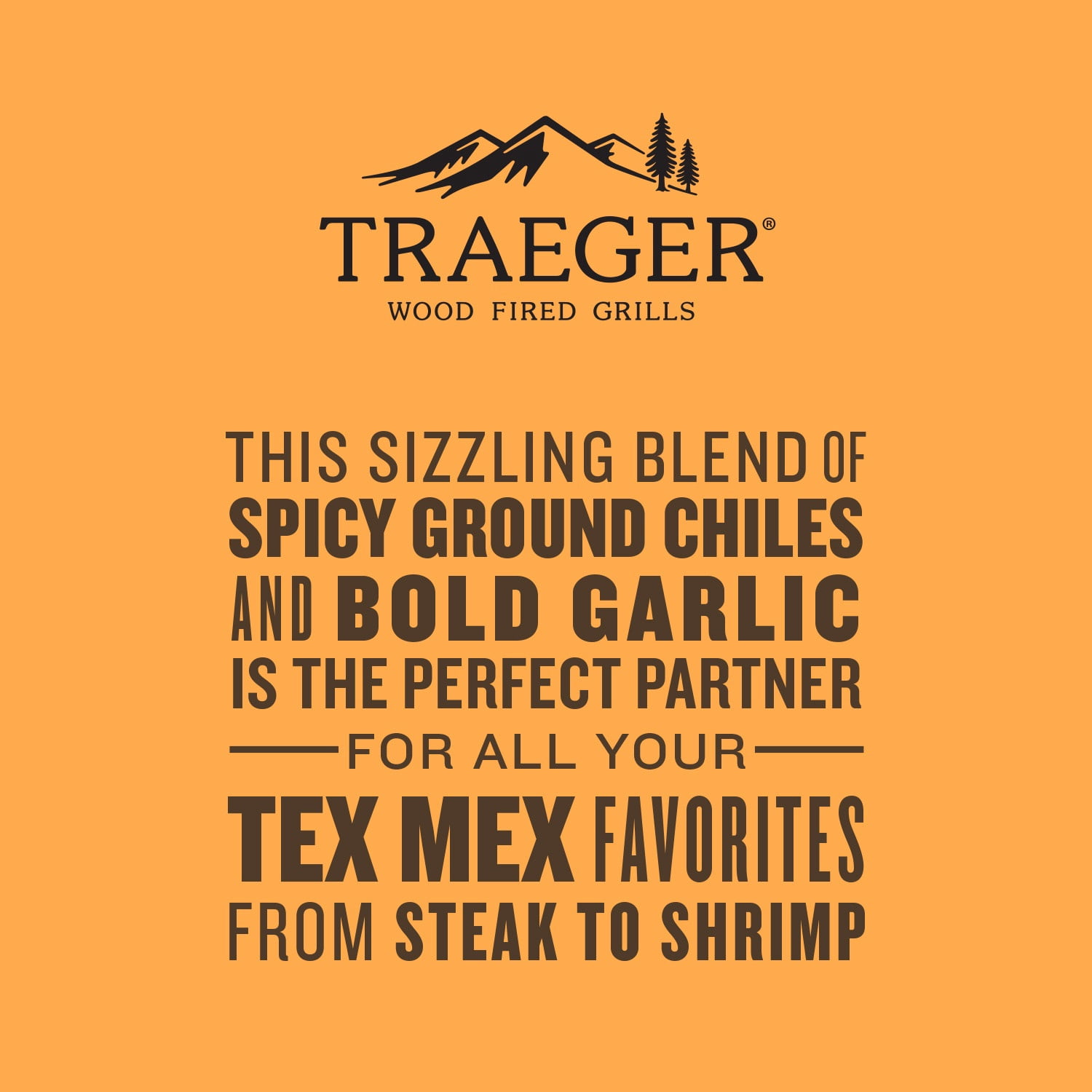 Traeger Grills Tex Mex Rub, 5.25 oz bottle