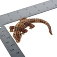 thumbnail image 3 of Large Alligator Rhinestone Brooch, 3 of 3