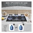 thumbnail image 2 of Parrilla De Gas Empotrables Estufas 6 Quemadores Cristal Templado Color Negro Gas Lp, 2 of 5