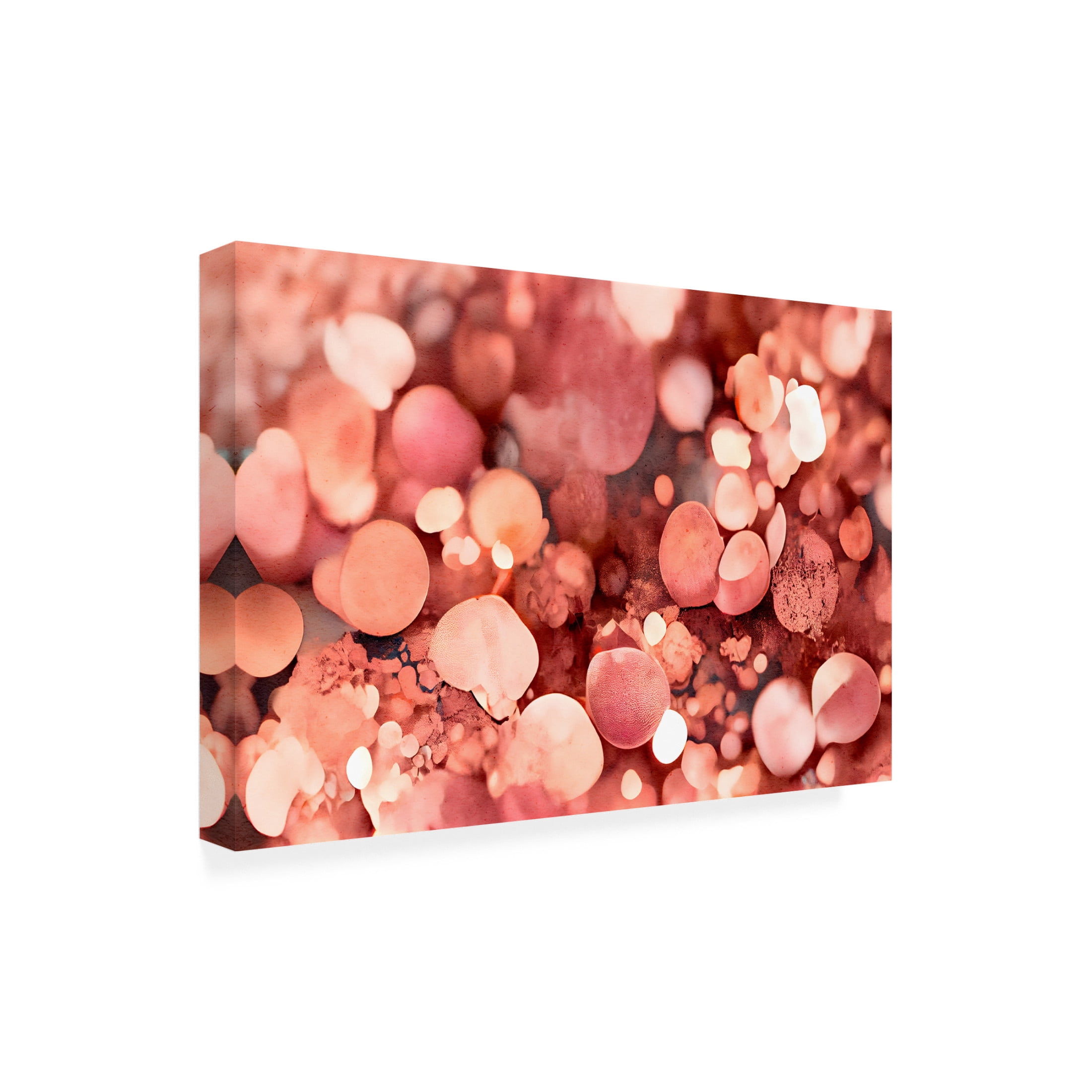 Canvas Wall Art - Treechild 'Rosy Sparkles' Wall Art for Living Room, Bedroom, or Office D?cor by Trademark Fine Art - 32 x 22 Inches