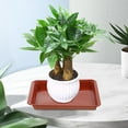 thumbnail image 4 of Nestingho 10Ud Bandejas Para Plantas Para Interiores Con Duradero Y Material Plástico Oscuro, 4 of 6