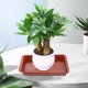 thumbnail image 4 of unbranded 10Ud Para Macetas Plásticos Color Oscuro Resistentes Y Prácticos, 4 of 6
