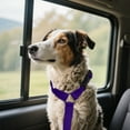 thumbnail image 4 of Car Pet Belt Dog Car Leash Cute Pet Car Adjustable Rope Rope, 4 of 4