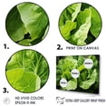 thumbnail image 3 of Designart "Lettuce With Emerald Highlights" Vegetables Wall Decor, 3 of 7