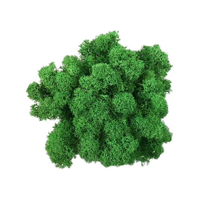Artificial Green Moss Grass for Wall Decor - DIY Home Living Room Decorative Floral Accessory
