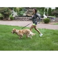 thumbnail image 3 of LucyBelle Pets Hands-Free Running Dog Leash - Blue, 3 of 5