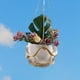 thumbnail image 5 of Exhibición De Maceta De Cuero Pu Con Cuerda De Algodón, Estante Colgante Para Plantas, Maceta, Decoración Para Sala De Estar, Dormitorio, Jardín Scienceny HA044061-05, 5 of 6