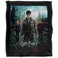 thumbnail image 2 of Harry Potter Blanket, 50"x60", Deathly Hallows Part 2 Poster Silky Touch Sherpa Back Super Soft Throw Blanket, 2 of 5
