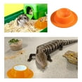 thumbnail image 4 of Pet Food Bowl For Small Reptiles With Non Slip Bottom And Easy Clean Design 10 in Diameter, 4 of 6