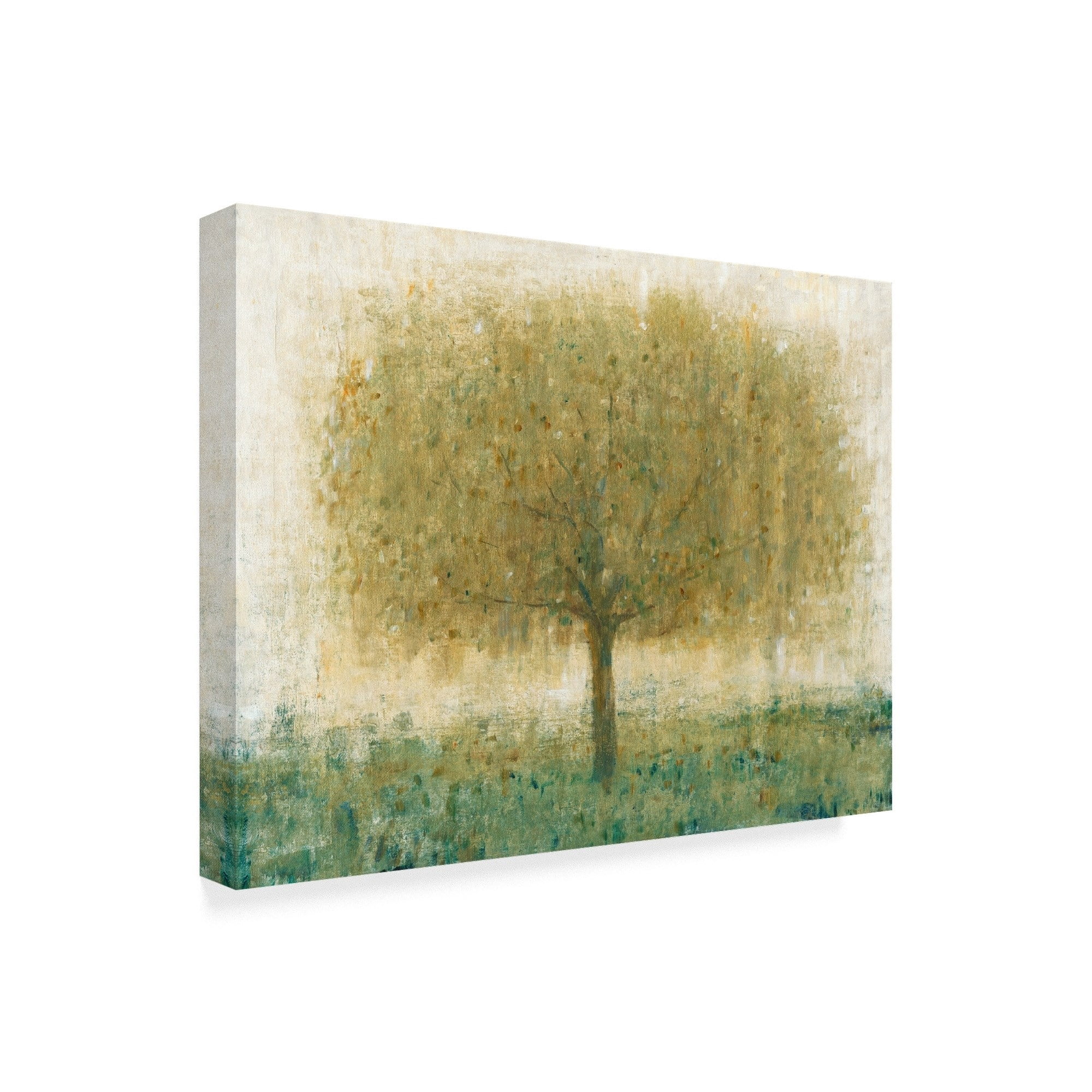 Trademark Fine Art 'Summer Day Tree I' Canvas Art by Tim OToole