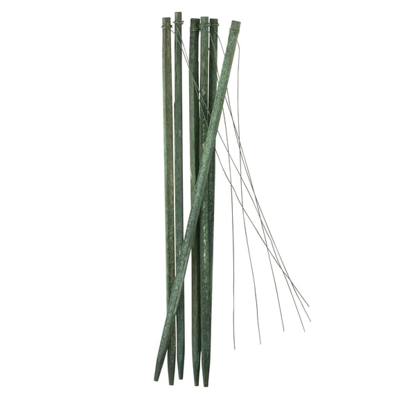 12 Pack: 6" Wired Wood Picks by Ashland