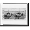 thumbnail image 2 of Historic Framed Print, Hoisting cows aboard ship, San Juan Harbor, Porto Rico, 17-7/8" x 21-7/8", 2 of 9