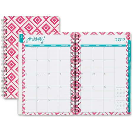 Blue Sky, BLS19304, Lucy Frosted Planner, 1 Each, Frosted,Multicolor