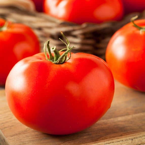 Tomato Seeds - Sub Arctic Plenty - 1 Lb ~120,000 Seeds - Solanum lycopersicum - Farm & Garden Vegetable Seeds - Non-GMO, Heirloom, Open Pollinated, Annual