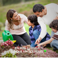 thumbnail image 5 of Repelente de Insectos con Canela Tripack, 5 of 5
