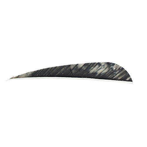 50PK New 4'' Turkey Feathers Parabolic Shape Arrow Fletching Hunting  Right Wing 