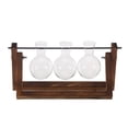 thumbnail image 1 of Florero Transparente De Planta Hidropónica Creativo Vintage, Jarrón Con Marco De Madera Para Decoración, Mesa De Cristal, Planta, Bonsái, Decoración sonducket HA025402-02, 1 of 5